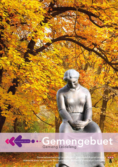 Gemengebuet #105 (2012)