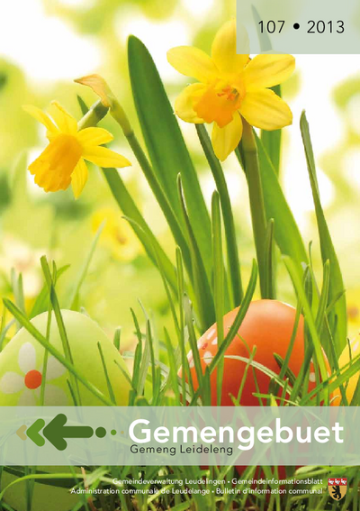 Gemengebuet #107 (2013)