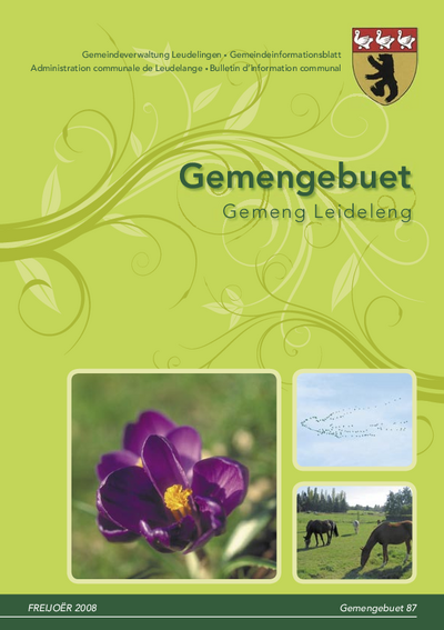 Gemengebuet #87 (2008)