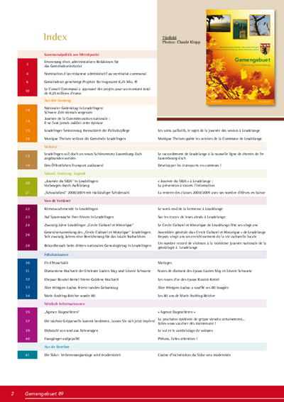 Gemengebuet #89 (2008)