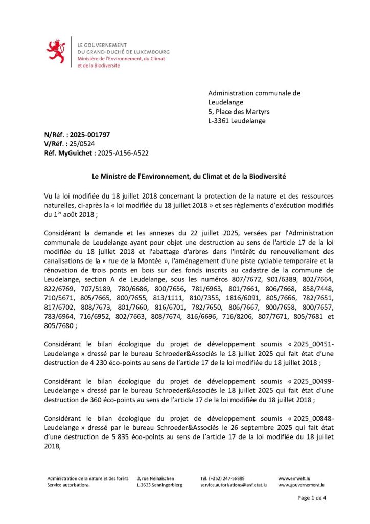 Réaménagement Rue de la Montée