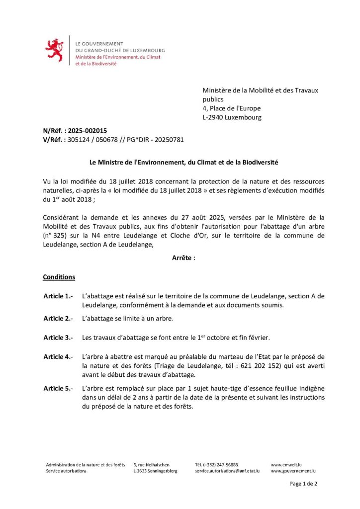 Abattage d’un arbre